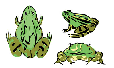 Common frog art pack