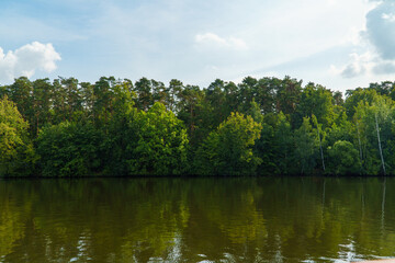 Green pine forest on the bank of a serene river, reflected in water against a blue sky with light clouds
