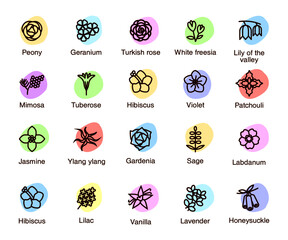 Vector icons of flowers and fragrances. Flat style with spots of pastel shades.