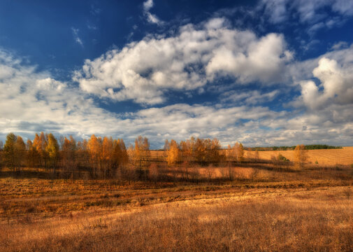 Autumn landscape of nature in october clear morning