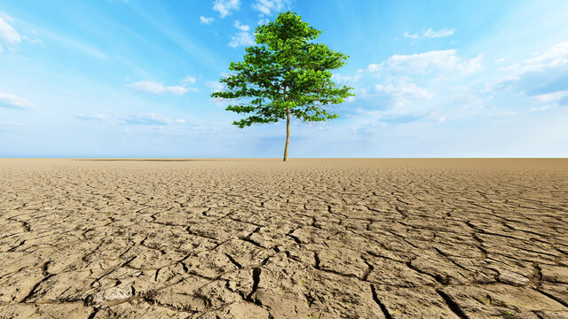 Concept or conceptual desert landscape with a green tree as a metaphor for global warming and climate change. A warning for the need to protect our environment and future 3d illustration
