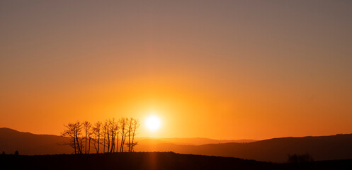 Árvores secas ao pôr do sol quente hora dourada