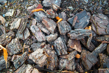 Brown wood shavings, wood chips background. Grey background.