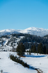 Fototapeta na wymiar Beautiful view on mountains in Kosanica (Montenrgro)