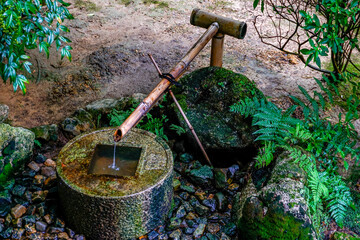 京都　龍安寺