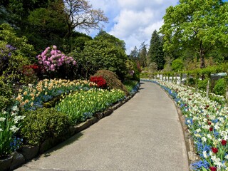 Walkway in spring garden