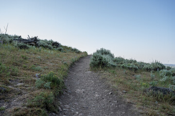 Fototapeta na wymiar Trail Leading Over Hill With Clear Sky