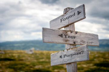 found your purpose signpost outdoors in nature