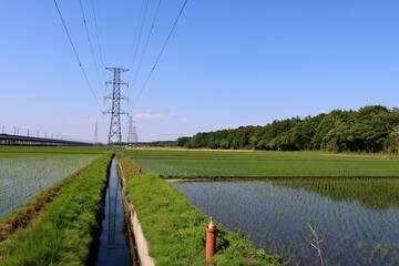 田舎　田植えの頃　春　風景　