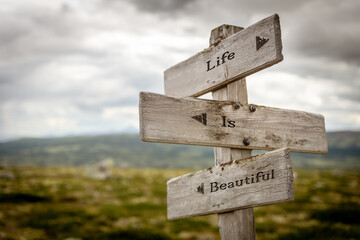 life is beautiful signpost outdoors in nature
