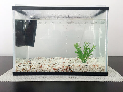 Empty fish tank discount