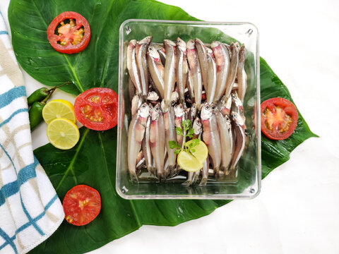 Fresh Anchovy Fish decorated with herbs and lemons on a White Background,Selective Focus.
