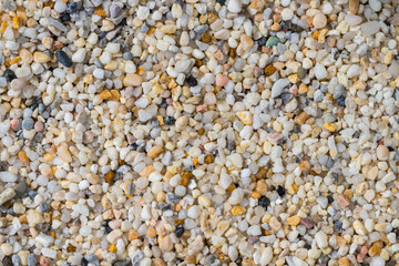 White pebble stone texture in garden