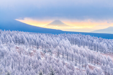 【長野県】ビーナスラインから見る富士山