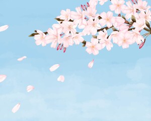 花びらが散る桜の木　青空　景色　水彩風イラスト
