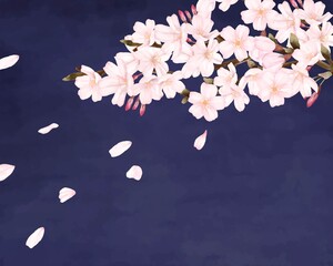 花びらが散る夜桜　景色　水彩風イラスト