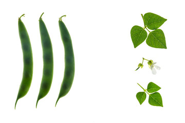closeup of green runner bean pods with leaves, flowers and copy space in center
