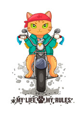 man and cat, cat biker