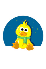 Fototapeta premium Ducklings wear scarves on Christmas day