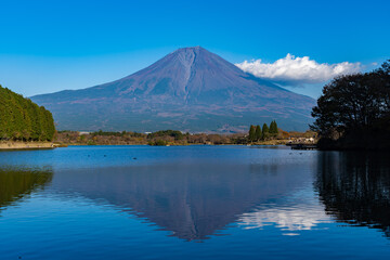 富士山　田貫湖　湖畔