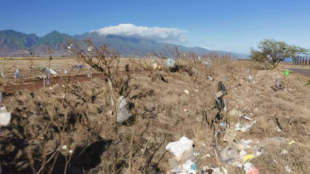 Ugly view of the plastic bags on beautiful Hawaii island USA. Disgusting picture of human waste polluting the pure nature. Ecology and environmental disaster concept with green mountains on background
