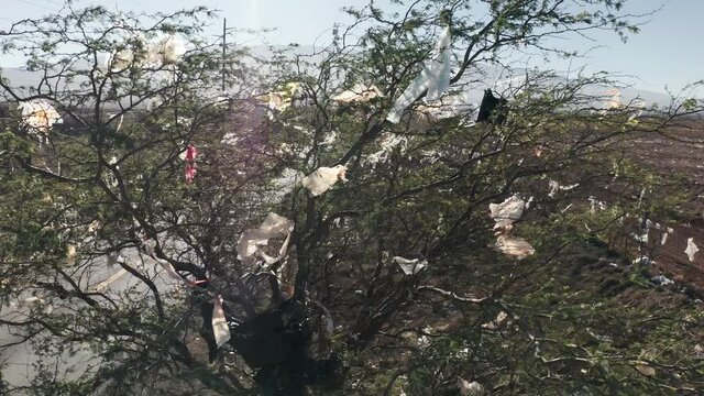 Plastic pollution problem. Non-degradable consumer shopping plastic bags stuck on green tree branches. The cause of the climate change and global warming after greenhouse effect. Aerial landfill 4K