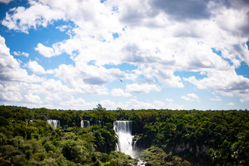 Obraz premium Iguazu Falls Iguaçu National Park