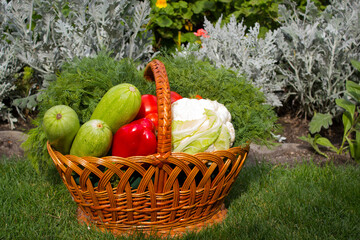 Basket of vegetables on a green lawn against a background of flowers. 