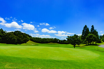 Fototapeta na wymiar Fairway of Japanese golf course