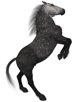 3d render of a percheron, a breed of draft horse