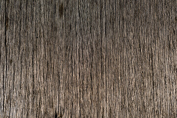 Wood with natural relief and a beautiful shine in surface.