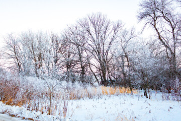 Winnipeg Winter Sunset