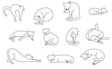 Cosy set cat hand drawn. Vector illustration. Editable lines.