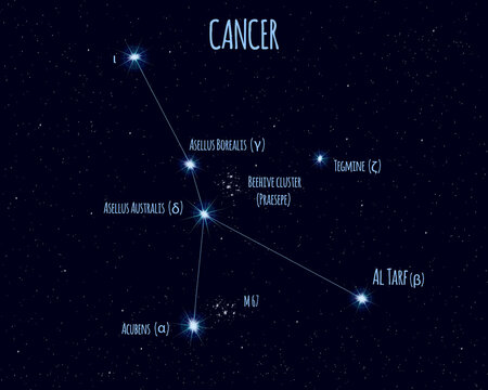 Cancer constellation, vector illustration with the names of basic stars against the starry sky