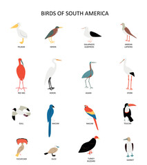 Set with virds of South America. Pelican, heron, stork, agami, macaw etc. Cute cartoon character. Flat modern style.