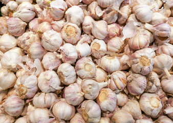 Garlic in the supermarket as a background.