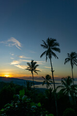 Coconut trees on sunset