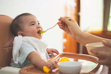 Young mother feeding her baby son with fruit puree