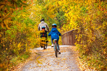 Family cycling in golden autumn park, active father and kids ride bikes, family sport and fitness with children outdoors
