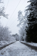 Bäume in Winterlandschaft + Weg Gehweg