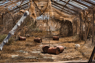 abandoned place, post-apocalyptic scene