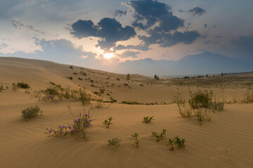 Fototapeta na wymiar View of the Kodar Ridge. Chara sands. The region of baikal.