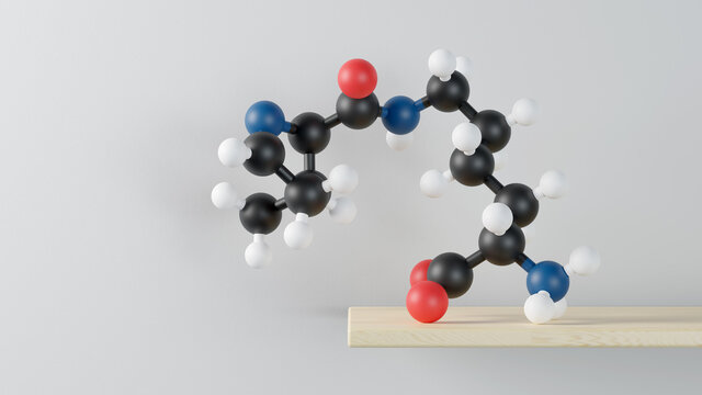 Pyrrolysine (l-pyrrolysine, Pyl, O) amino acid molecule. 3D rendering. Atoms are represented as spheres with conventional color coding: hydrogen (white), carbon (grey), oxygen (red), nitrogen (blue).
