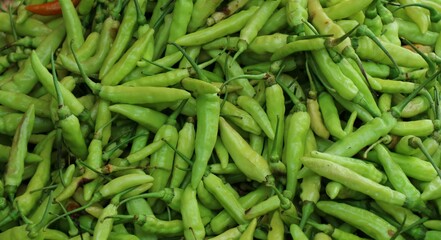 Tropical Small Green Chili Close Up