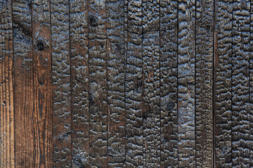 Burned wood texture background. High resolution image of charcoal burnt black wood wall