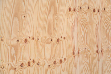 Birch wood background. High resolution image of birch plywood texture with knots.  - 404442010