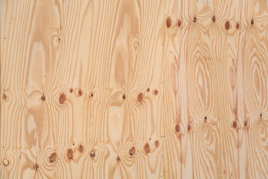 Birch wood background. High resolution image of birch plywood texture with knots. 