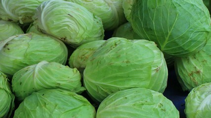 cabbage at traditional traditional market