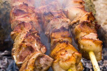 Georgian traditional dish, Mtsvadi on the fire, raw meal on the grill