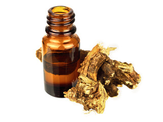 Osha Dried Root Tincture Extract. Isolated on White Background.